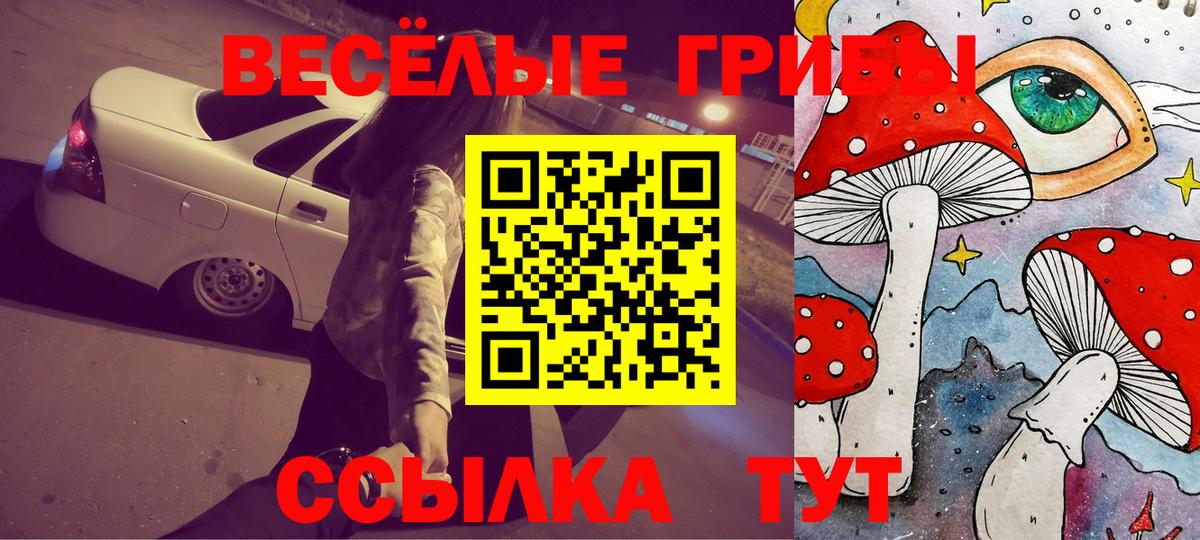 Электрогорск  Псилоцибиновые грибы мицелий  Вход с VPN 